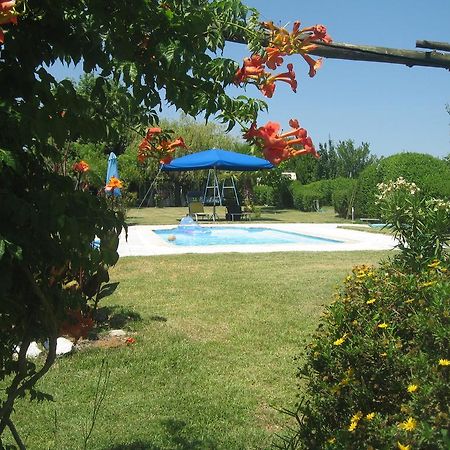 パルメラ Casa Das Andorinhas Bed & Breakfast エクステリア 写真