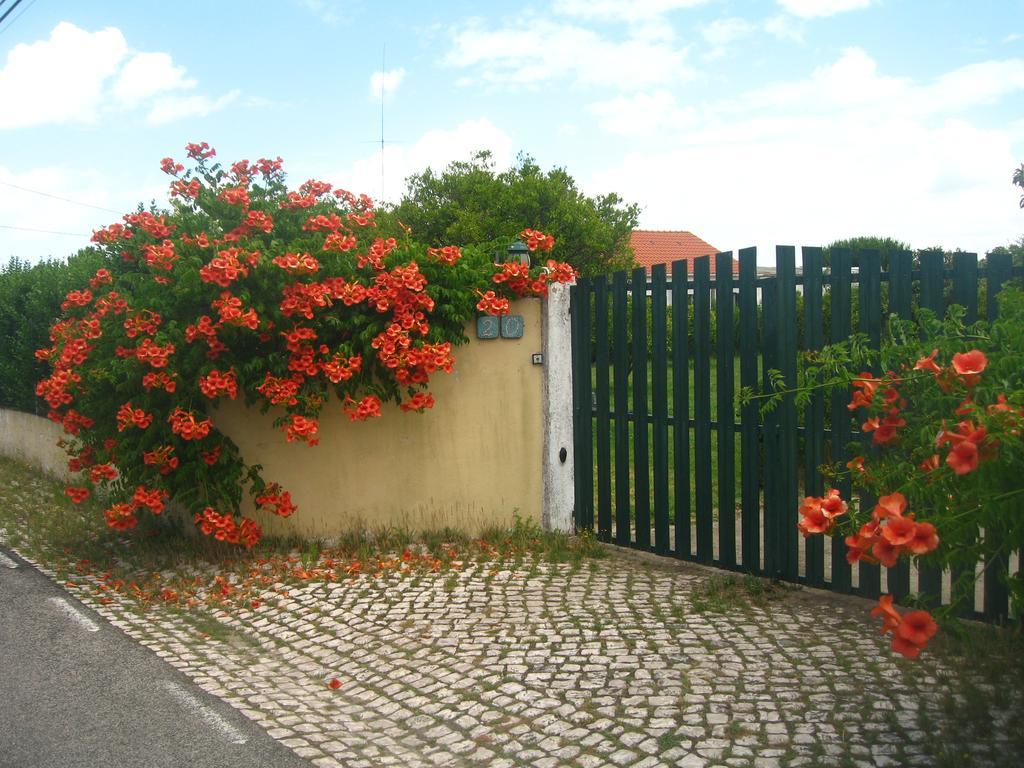 パルメラ Casa Das Andorinhas Bed & Breakfast エクステリア 写真